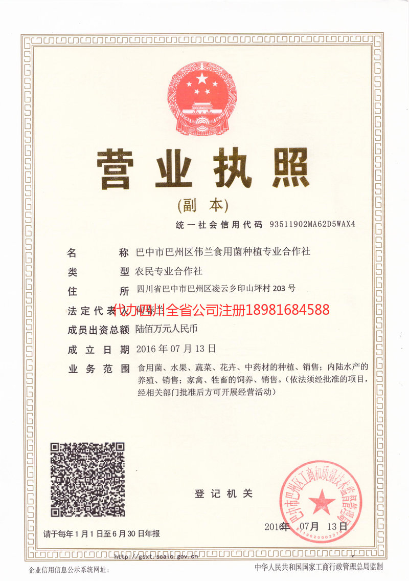 永安永安伟兰食用菌种植专业合作社