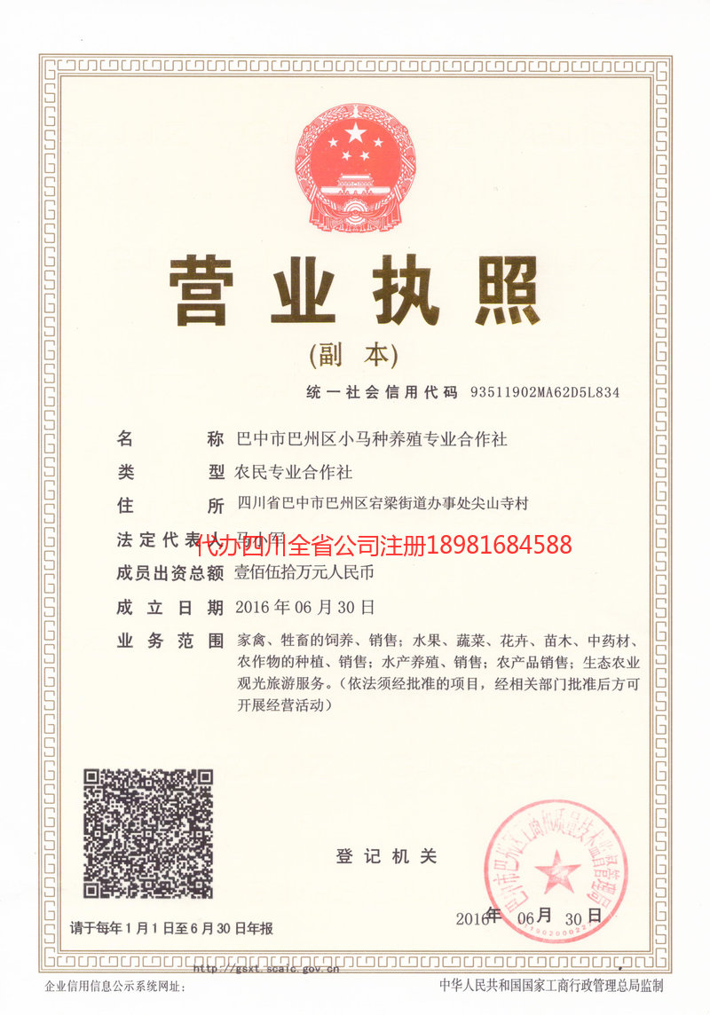 永安永安小马种养殖专业合作社